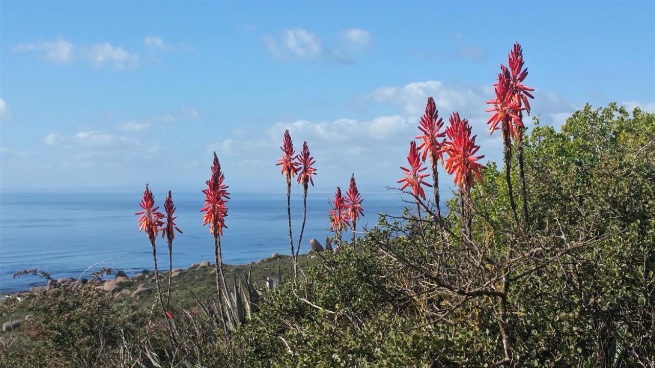 Onze Uitsight Cottage St Helena Bay Exterior foto